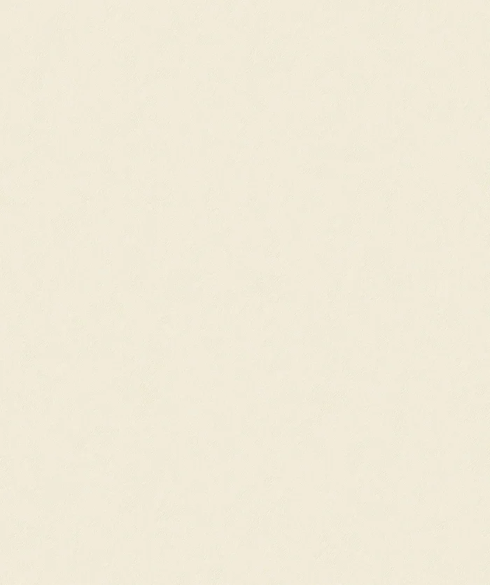 Giấy Dán Tường Trơn Mẫu Mới 5705-6/18P