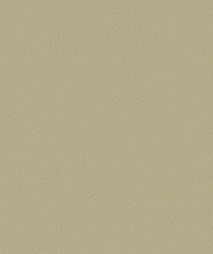 Giấy Dán Tường Trơn Cao Cấp Mẫu Mới 5716-5/85P