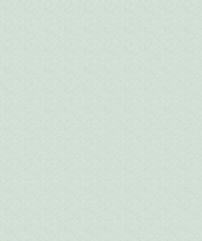 Giấy Dán Tường Trơn Cao Cấp Mẫu Mới 5716-7/78P