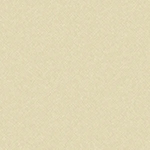 Giấy Dán Tường Trơn