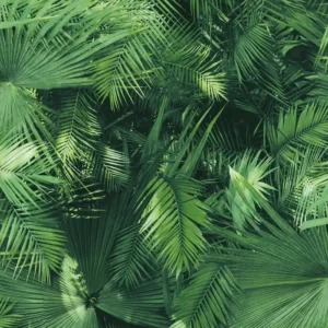 Giấy Dán Tường Hoa Văn 3D Mẫu Mới 7833-1/91.92P