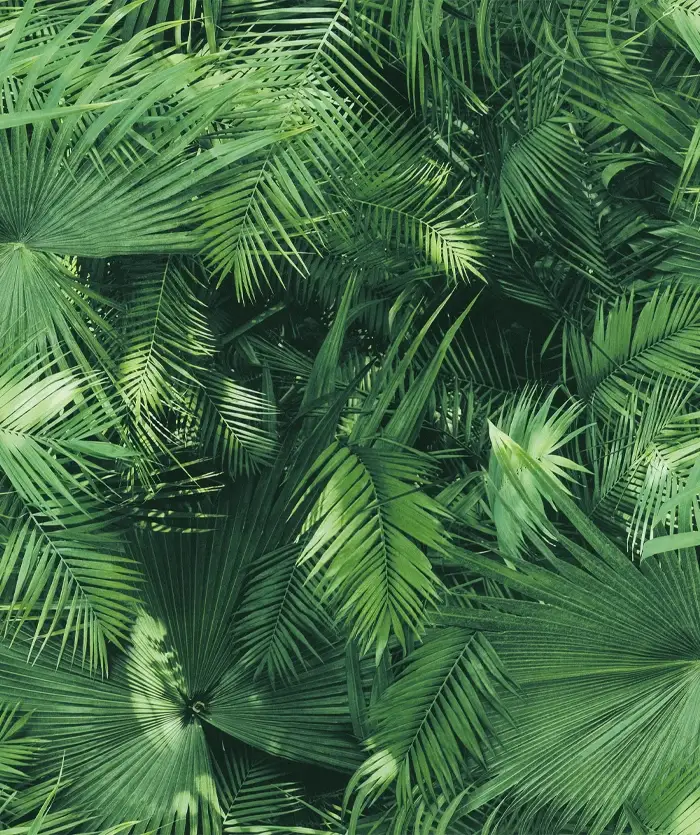 Giấy Dán Tường Hoa Văn 3D Mẫu Mới 7833-1/91.92P